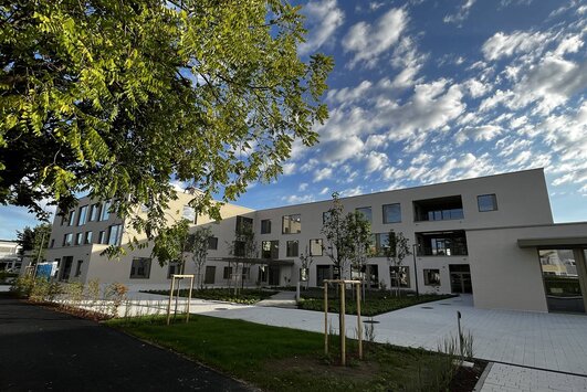 Im Vordergrund ein Ast von einem Baum mit grünen Blättern, dahinter das Gebäude der neuen Volksschule