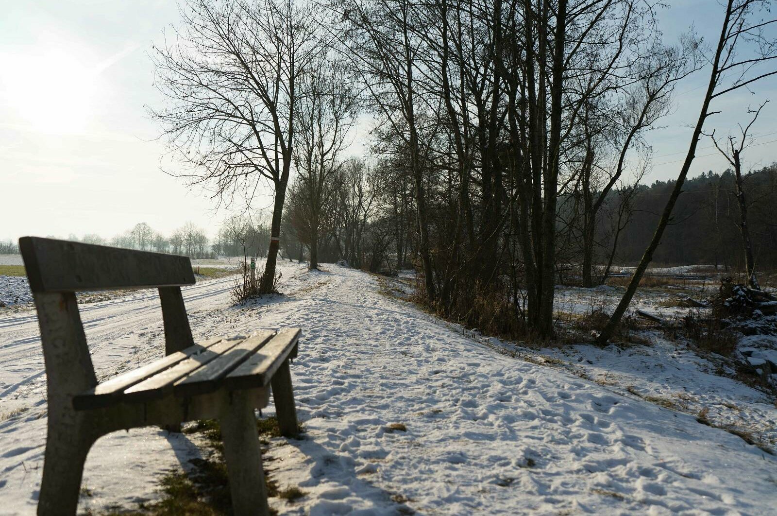 Eine Bank am Ufer der Pinka, es liegt Schnee, dahinter sind Bäume und Sträucher zu sehen.